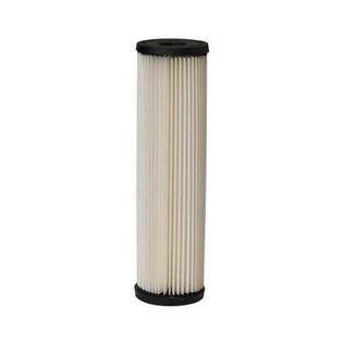 Pentek S1 Pleated Cellulose